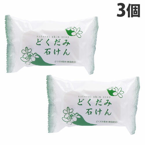 地の塩社 DNスキンソープN どくだみ石けん 130g×3個 石鹸 石けん せっけん 固形 洗顔 全身 ドクダミ
