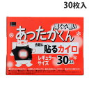 オカモト あったかくん 貼るカイロ レギュラー 30枚入 使い捨て カイロ あったかい 手指の冷え 貼るカイロ