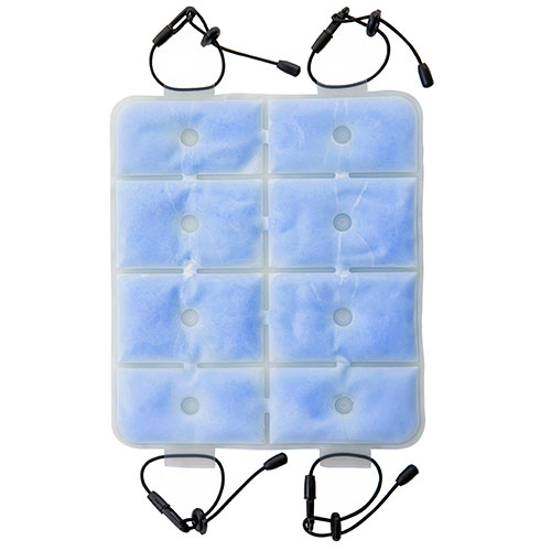 リュック 背中 冷却 ICYクールキャリー