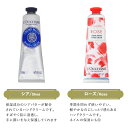 ロクシタン ファンタスティック 8 ハンドクリームセット 30ml×8本 / L'OCCITANE ハンドケア ハンドクリーム ギフト プレゼント『送料無料（一部地域除く）』 3