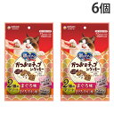 銀のスプーン おやつ かつお節チップ イン クッキー まぐろ味 まぐろ・チキン味 アソート 6g 12袋入り 6個 ユニ・チャーム