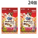 銀のスプーン おやつ かつお節チップ イン クッキー まぐろ味 まぐろ・チキン味 アソート 6g 12袋入り 24個 ユニ・チャーム『送料無料(一部地域除く)』