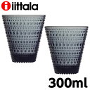 iittala イッタラ Kastehelmi カステヘルミ タンブラー 300ml ダークグレー 2個セット グラス コップ ペア