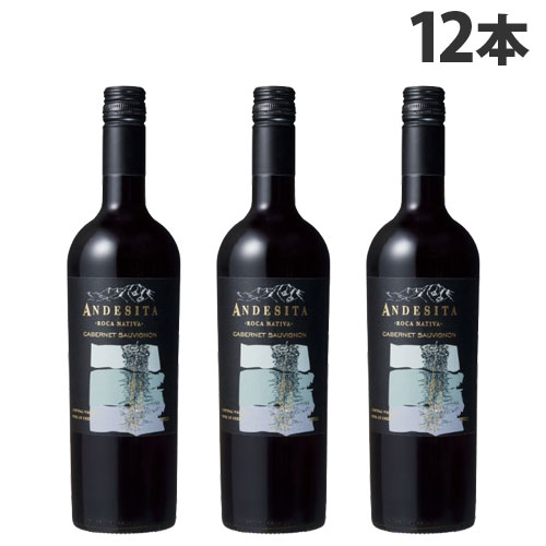 アンデシータ カベルネソーヴィニヨン 赤 750ml×12本 【送料無料（一部地域除く）】