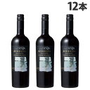 アンデシータ カベルネソーヴィニヨン 赤 750ml×12本 【送料無料(一部地域除く)】