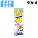 『7/10限定★抽選で最大100%Pバック※要エントリー』【第2類医薬品】カイゲン点鼻薬 30ml