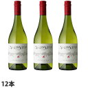 【取寄品】バルディビエソ バルディビエソ シャルドネ 750ml×12本熟した柑橘類やオレンジの皮のアロマ。【送料無料(一部地域除く)】