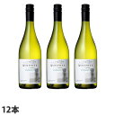 アンデシータ シャルドネ 白 750ml×12本 【送料無料(一部地域除く)】