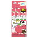 【ワケあり品】アウトレット【使用期限:25.08.08】ビタットジャパン マウスウォッシュ オクチ チェリー 5本入(4)