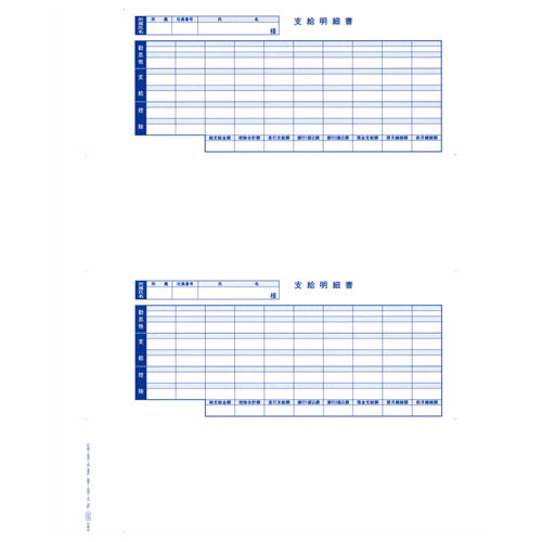 『代引不可』OBC オービック 単票封筒用支給明細書 300枚 OBC-6202 給与明細書 給与明細 支給明細 封筒 給与奉行 純正 『日時指定不可』『送料無料（一部地域除く）』