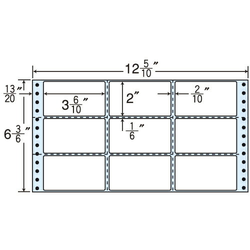 ٥륷 M12M å (Ϣ³٥) 쥮顼 500ޡ2Բġ̵ۡʰϰˡ