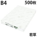 【FSC認証】カラーコピー用紙 ダイオーカラーマルチペーパー B4 若草(ライトグリーン)500枚 緑 チラシ DM 案内状 掲示物 配布物 カラーペーパー エ...