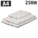 富士フイルム Ncolor081 A4 250枚 GAAA1878 コピー用紙 OA紙製品 コピー プリンター用紙 プリンター 印刷