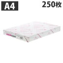 富士フイルム Ncolor104 A4 250枚 GAAA1882 コピー用紙 OA紙製品 コピー プリンター用紙 プリンター 印刷