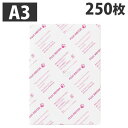 富士フイルム JDコート104 両面コート紙 A3 250枚 GAAA0566 コピー用紙 OA紙製品 コピー プリンター用紙 プリンター 印刷