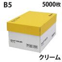 カラーコピー用紙 クリーム B5 5000枚【送料無料(一部地域除く)】