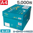 『個人様大歓迎!!』コピー用紙 A4 5000枚(500枚×10冊)ペーパーワン(PAPER ONE) 高白色 カーボンニュートラル プロデジ高品質 保存箱仕様...