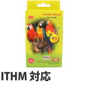 【期間限定】『ポイント10倍』 リサイクルインク 互換性 EPSON ITHM マゼンタ