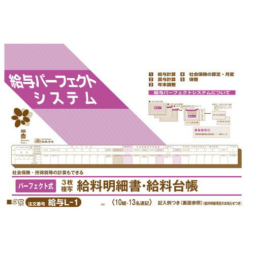 給与L-1 パーフェクト式給料明細書 10組