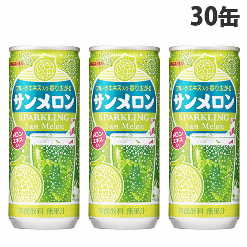 サンガリア サンメロン 250g×30缶 缶ジュース 飲料 ドリンク ソフトドリンク メロン メロンジュース 炭酸飲料 炭酸ジュースのサムネイル