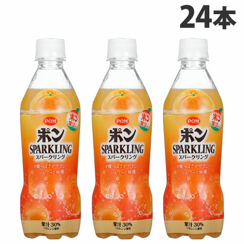 えひめ飲料 POMスパークリング 410ml×