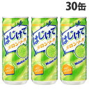 はじけてメロンソーダ 250g 30缶 サンガリア