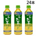 おーいお茶 カテキン緑茶 500ml 24本 伊藤園 お〜いお茶