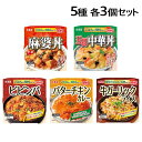 丸美屋 レンジで簡単！ごはん付シリーズ 5種 各3個セット レトルト食品 丼ぶり 手軽 簡単 即席 食べ比べ ご飯付き『送料無料（一部地域除く）』