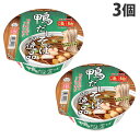 ヤマダイ 凄麺 鴨だしそばの逸品 117g×3個 そば 蕎麦 カップ麺 カップそば インスタント 即席