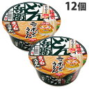 『売り切れ御免』『賞味期限：20.10.16』 日清食品 どん兵衛 きつねうどん 12個