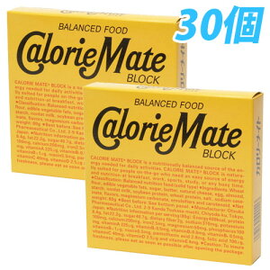 大塚製薬 カロリーメイト ブロック チーズ味 4本×30個【送料無料（一部地域除く）】