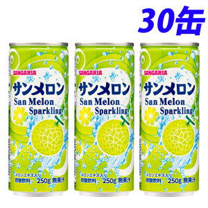 サンガリア サンメロン 250g×30缶 缶ジュース 飲料 ドリンク ソフトドリンク メロン メロンジュース 炭酸飲料 炭酸ジュース