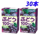 『お一人様1箱限り』エルビー ぶどう100％ 125ml×30本