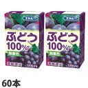ぶどう100% 125ml 60本 エルビー ぶどうジュース グレープ『送料無料(一部地域除く)』