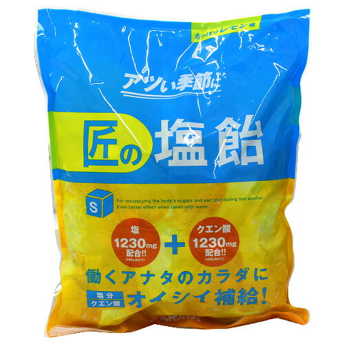 サラヤ Gains 匠の塩飴 レモン味 750g