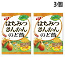 ノーベル製菓 はちみつきんかんのど飴 110g×3個