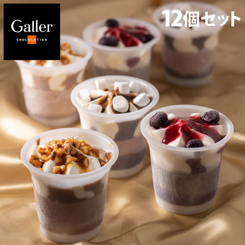 Galler(ガレー) チョコレートアイスパルフェ 12個セット ギフト 贈答品 贈り物 スイーツ デザート アイス ガレー 『日時指定不可』『代引不可』『送料無料（一部地域除く）』