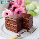 テオブロマ ケイクショコラ 2個セット ギフト 贈答品 贈り物 スイーツ デザート ケーキ 『日時指定不可』『代引不可』『送料無料(一部地域除く)』