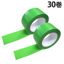 養生テープ 30巻 50mm×25m グリーン『送料無料(一部地域除く)』