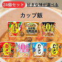 カレーメシ 炎メシ 台湾メシ 選べる 24個 好きな味が選べる ドリアメシ ミラノ風 ドリア 謎肉 豚丼 ルーローハン シェントウジャンガユ お粥 キムチビビンバ シーフード バターチキン 台湾 飯 メシ 米 ライス ご飯 カップライス カップご飯 詰め合わせ まとめ買い 箱 箱買い