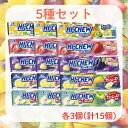 ハイチュウ 【最短賞味期限2026.03】 5種セット 各3個 計15個 南国ミックス ストロベリー グレープ レモン 青りんご アソート 詰め合わせ 業務用 ハイチュウアソート うまイチュウ すッパイチュウ お菓子 まとめ買い 粒 個包装 菓子 南国 ミックス 森永 いちご ぶどう りんご