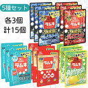森永 大粒ラムネ 5種セット 【最短賞味期限2026.2】 各3個 計15個 大粒 ラムネ コーラ ソーダ レモン マミー 塩分 補給 熱中症対策 熱中症 対策 ラムネ菓子 業務用 お菓子 チャック付き 保存 チャック 詰め合わせ アソート まとめ買い セット メール便 強炭酸 炭酸