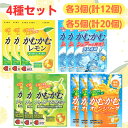 かむかむレモン パウチ 【最短賞味期限2026.4】 4種セット レモン ラムネ シャインマスカット オレンジソーダ まとめ買い セット かむかむ カムカム パ...