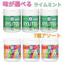 ロッテ キシリトール ガム ライムミント 7種アソート まとめ買い セット ファミリーボトル 6個 3個 業務用 キシリトール ガム ミント ボトル ファミリー...