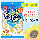 亀田 夏のつまみ種 【賞味期限2025.11.29】 37g 詰め合わせ アソート つまみ 種 亀田製菓 小袋 小分け 亀田製菓 まとめ買い 業務用 セット つまみ種 夏 おつまみ お菓子 米菓 あられ おかき 煎餅 お煎餅 袋 箱 箱買い ケース 訳あり ワケアリ 限定 コンビニ 菓子 スナック