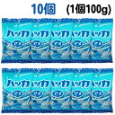 リボン ハッカアメ 【賞味期限2026.2】100g 10個セット ハッカ飴 飴 はっか飴 あめ 業務用 個包装 大量 大きいサイズ まとめ買い 宅配便 お得 ...