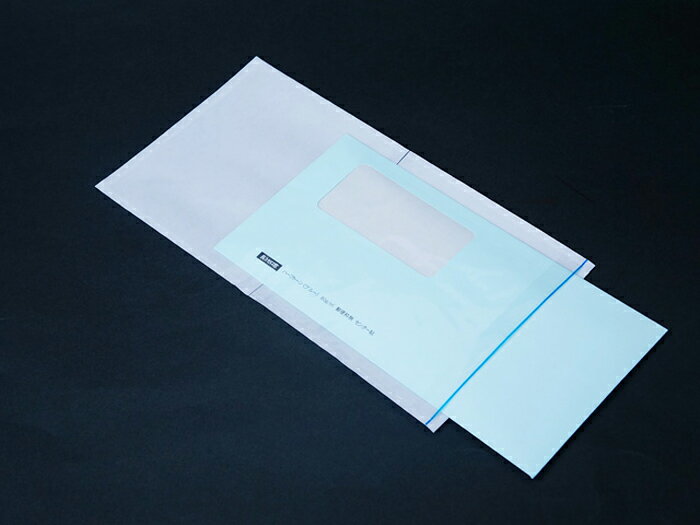デリバリーパック 透明 シール 無地 封筒 袋 長3・L版 145×270mm PP 30μ 100枚入 ダンボール 外貼り 納..