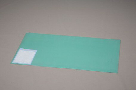 アイリスオーヤマ　デスクマット　600×450mm　DMT-6045PZ　ナチュラル/グリーン　【返品・キャンセル不可】　259087