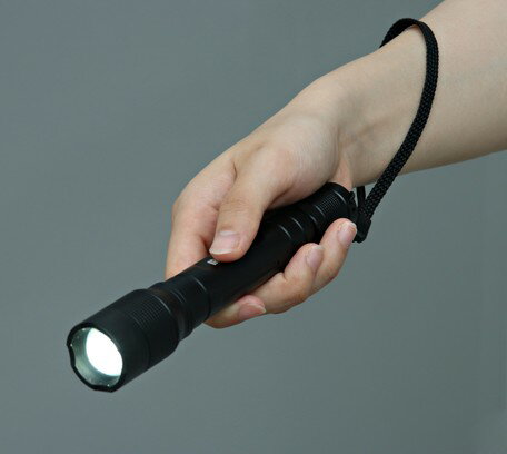 アイリスオーヤマ LEDハンディライト 明るさ200lm LWK−100Z 【返品・キャンセル不可】 567620