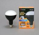 アイリスオーヤマ　LED電球投光器用　5500lm　ワークライト　LED　568664